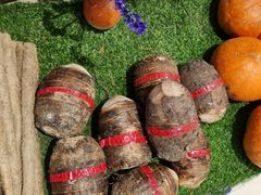 -老阿爸江浙土菜(奥体中心店)