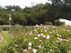 -人民公园(罗湖区)