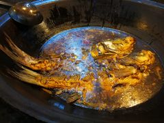 -老六杀猪菜(进乡街店)