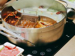 小鸳鸯锅底-野妹火锅(南园店)