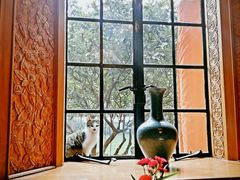 餐厅窗台风景-马勒别墅饭店(静安寺店)