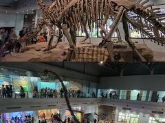 -自贡恐龙博物馆