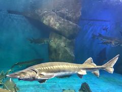 -多彩贵州城极地海洋世界