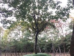 -华东政法大学(松江校区)