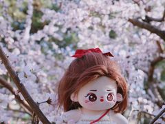 -朝阳公园