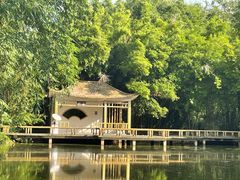 -中国科学院华南植物园