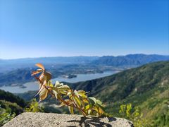 -北京十三陵国家森林公园蟒山景区