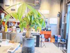 -回·龙虾铺·盆盆蟹·烧烤大排档(回龙观店)