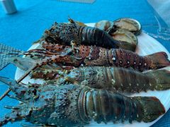 -瑞德姆美人鱼海底演艺主题餐厅(亚龙湾店)