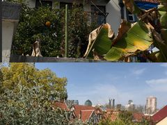 -富民路210弄小区