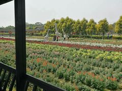 -广东花都香草世界旅游度假区