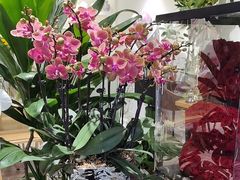 -花辰月夕花坊(北滨路店)