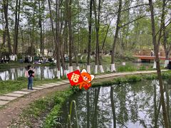 -桤木河湿地公园