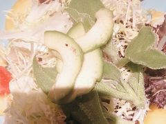 -老太原菜馆(南宫店)