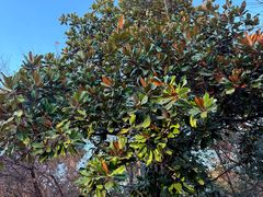 -敬亭山风景名胜区