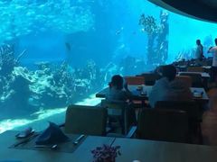 -海棠湾洲际-涛·海底餐厅·美人鱼·自助餐·海底隧道