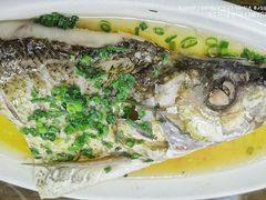 清蒸白鱼-协和菜馆(凤凰街店)