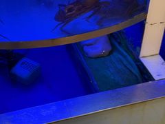 -七欣天香辣蟹火锅(苏州塔园路店)