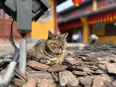 -龙华寺