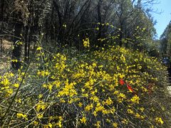 -娲皇宫