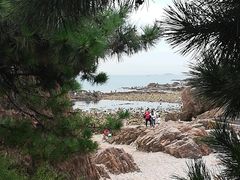 -青岛第二海水浴场