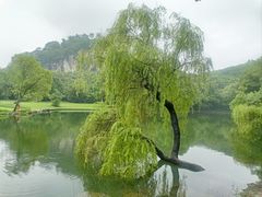 -柯岩风景区