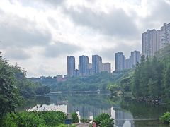 -重庆彩云湖湿地公园
