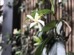 -云里小坐·小院里·团建·宴请·下午茶(三圣乡店)
