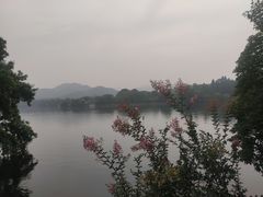 -苏堤停车场
