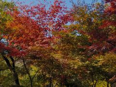 -青岛崂山太清宫