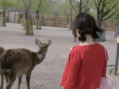 -水上乐园·欢乐世界