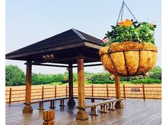 -大湾区中央湿地公园