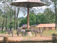 -大连森林动物园