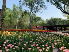 -国家植物园南园