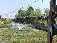 -同銮特种养殖场·龙虾垂钓