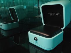 -Tiffany & Co.蒂芙尼
(南京德基广场店)