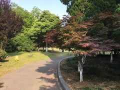 -玉山公园