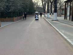 -莲花池公园