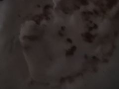 -叶掌柜桐庐土菜馆