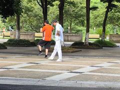 -苏州河梦清园环保主题公园