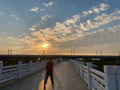 -宝安西湾红树林湿地公园