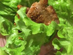 -新石器烤肉(中房金谊广场店)