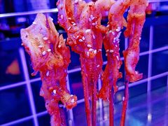-乌兰烧烤·烤羊腿(西丽店)