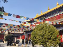 -西安市广仁寺