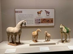 -深圳博物馆(古代艺术馆)