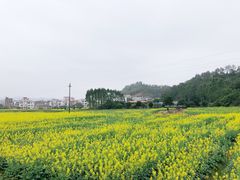 -红山村