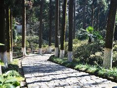 -莫干山风景区