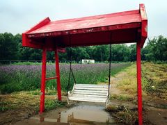 -北京索菲亚花海影视基地