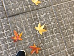 -潘多夫名品奥特莱斯