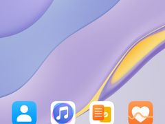 -正宗老杨特色爆米花(四棉店)